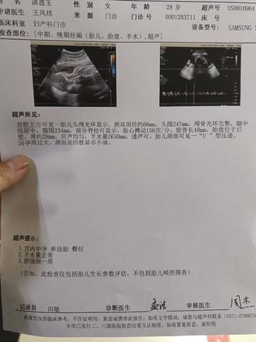 journal_insert_pic_1685765311