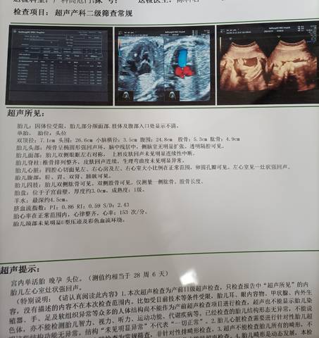 journal_insert_pic_1680166385