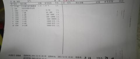 journal_insert_pic_1690047860