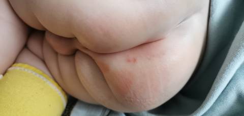 journal_insert_pic_1687186352