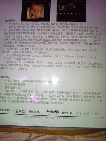 journal_insert_pic_1674380780