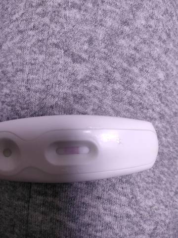 journal_insert_pic_1685977065