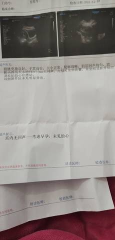 journal_insert_pic_1682068099