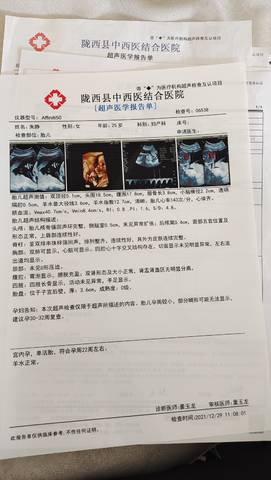 journal_insert_pic_1688802586