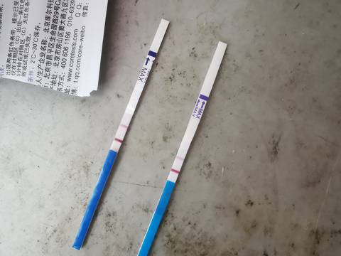 journal_insert_pic_1674288619