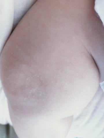 journal_insert_pic_1686446985