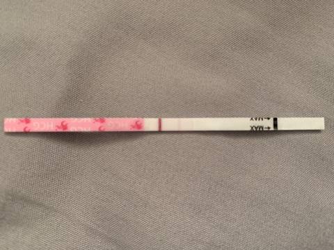 journal_insert_pic_1682462283