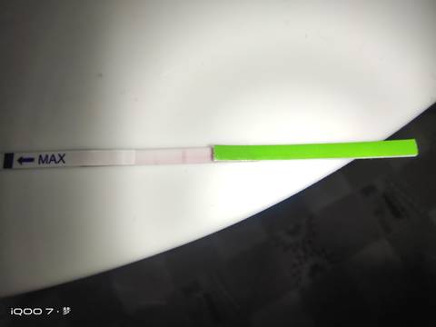 journal_insert_pic_1719659926