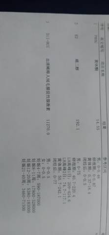 journal_insert_pic_1741013603