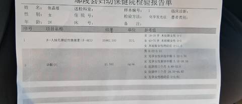 journal_insert_pic_1684234462