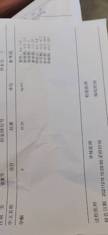 journal_insert_pic_1681077954
