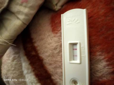 journal_insert_pic_1681320560