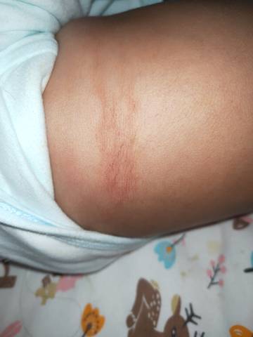 journal_insert_pic_1719914500