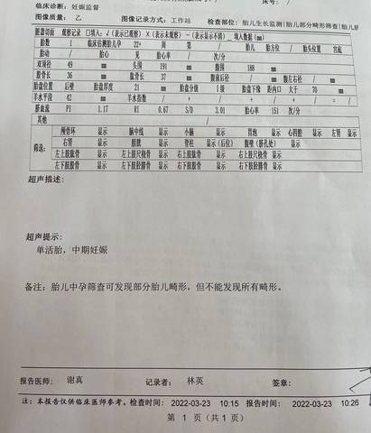 journal_insert_pic_1741058823