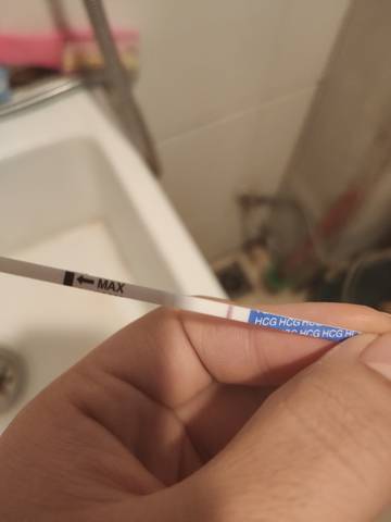 journal_insert_pic_1690092658