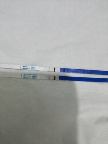 journal_insert_pic_1675213558