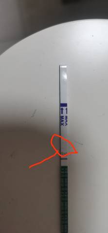 journal_insert_pic_1673189981