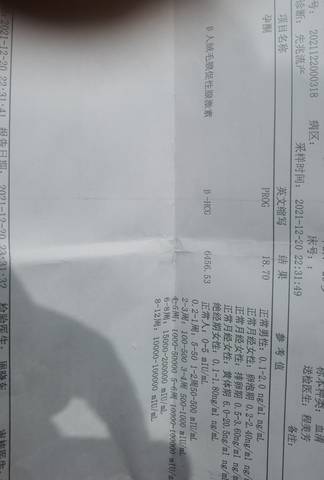 journal_insert_pic_1686677608