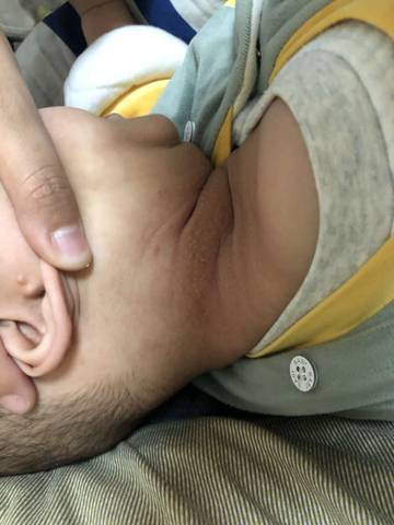 journal_insert_pic_1681699790