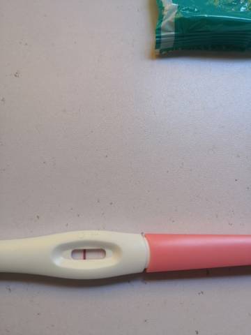 journal_insert_pic_1680176262