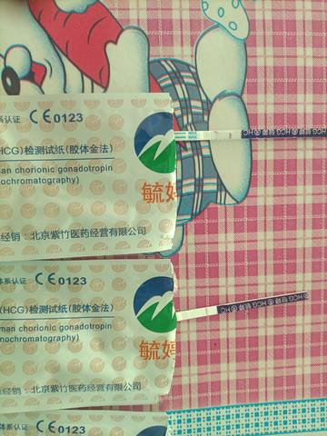 journal_insert_pic_1689389354