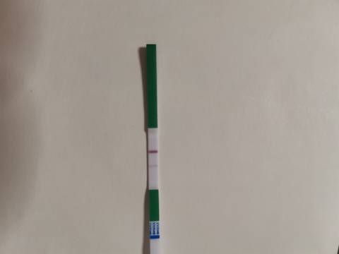 journal_insert_pic_1687445665