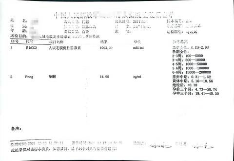 journal_insert_pic_1679180292