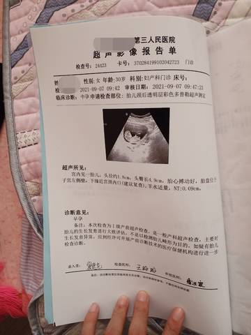 journal_insert_pic_1679870847