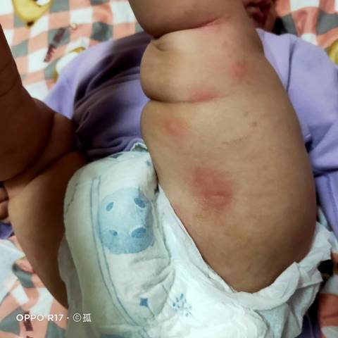 journal_insert_pic_1719526562