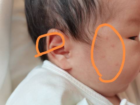 journal_insert_pic_1683461774