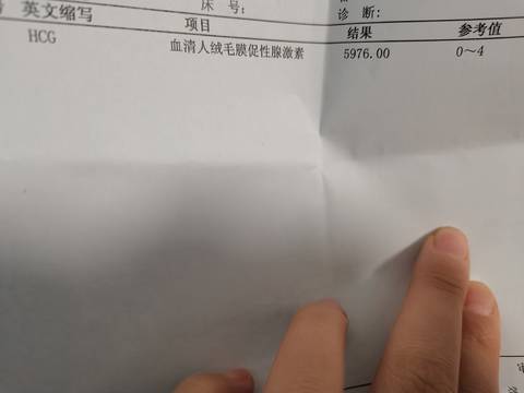 journal_insert_pic_1678853837