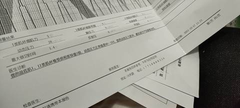 journal_insert_pic_1681832684