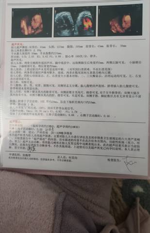 journal_insert_pic_1675698389