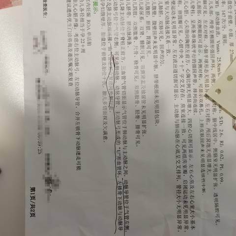 journal_insert_pic_1685449521
