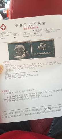 journal_insert_pic_1674376162