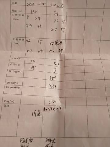 journal_insert_pic_1686494393