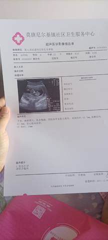 journal_insert_pic_1686306178