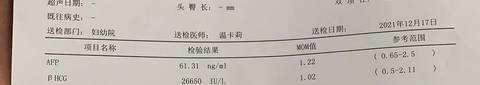 journal_insert_pic_1685455660