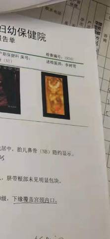 journal_insert_pic_1685424032