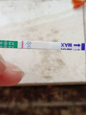 journal_insert_pic_1689364646