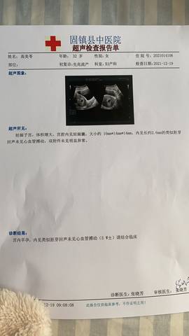 journal_insert_pic_1682400413