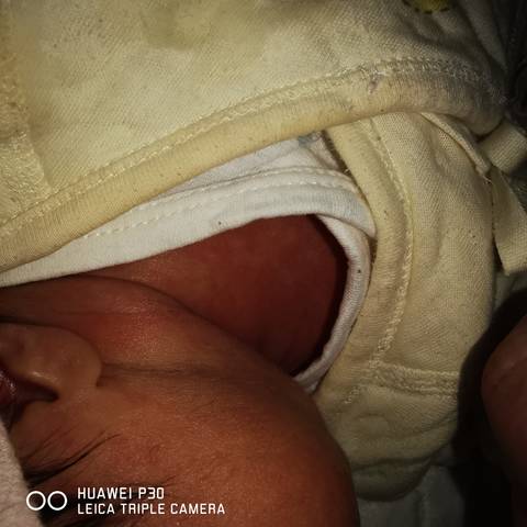 journal_insert_pic_1673982270