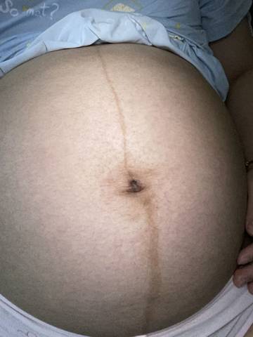 journal_insert_pic_1685326662