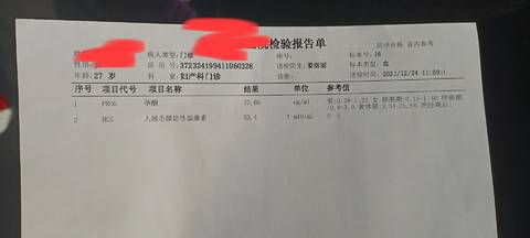 journal_insert_pic_1685582285