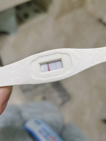 journal_insert_pic_1687483212