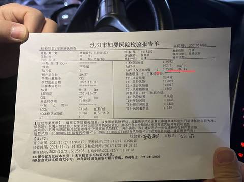 journal_insert_pic_1673452111