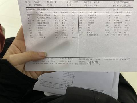 journal_insert_pic_1683615850