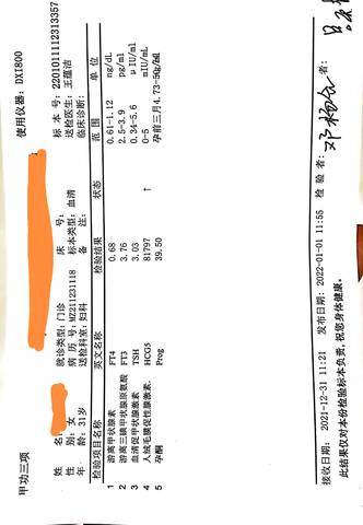 journal_insert_pic_1690108627