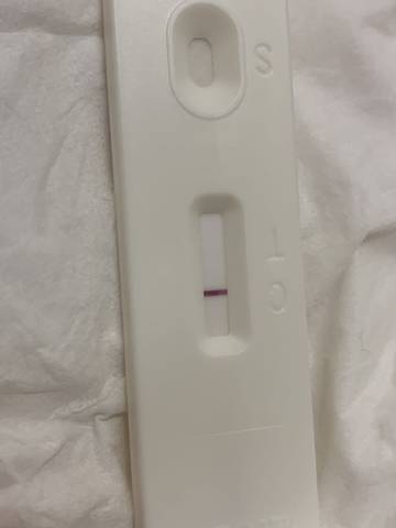 journal_insert_pic_1682078494