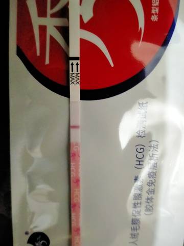 journal_insert_pic_1675162663